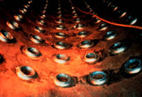 ������ �81 ����������� ������ Arc Machines Inc.